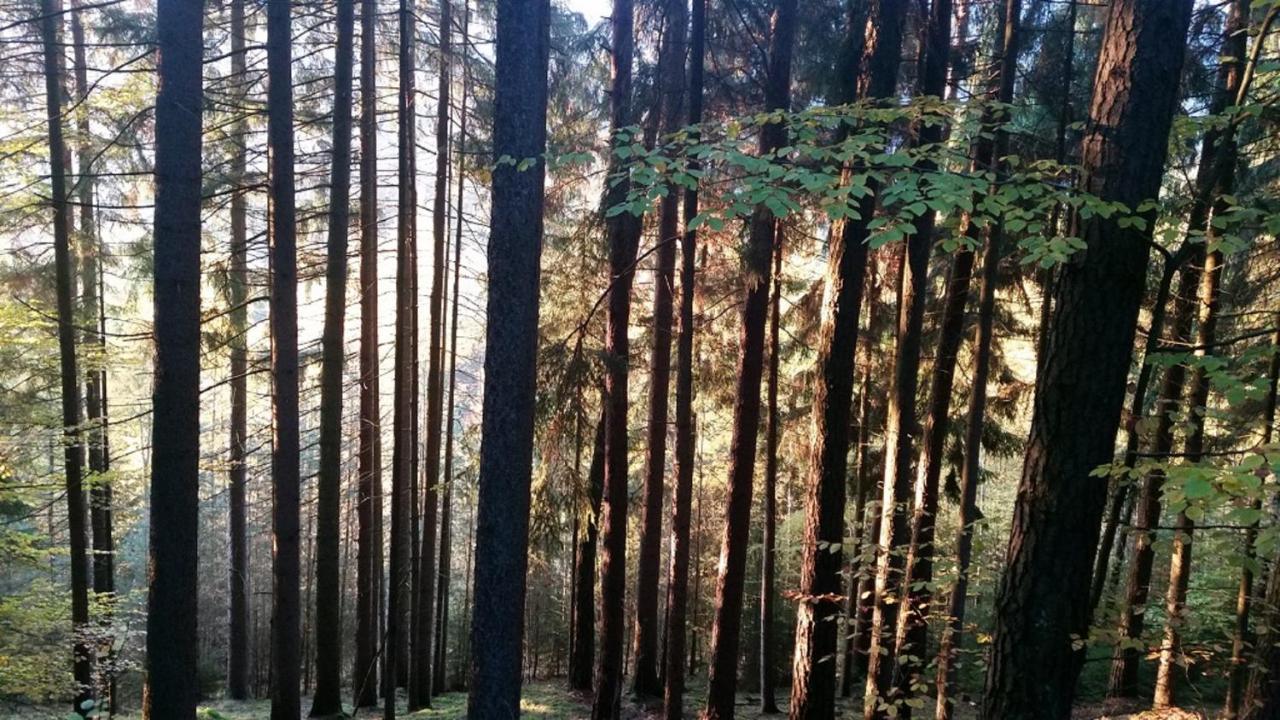 Ferienhaeuser Zur Schaeferei Mitwitz Exterior foto