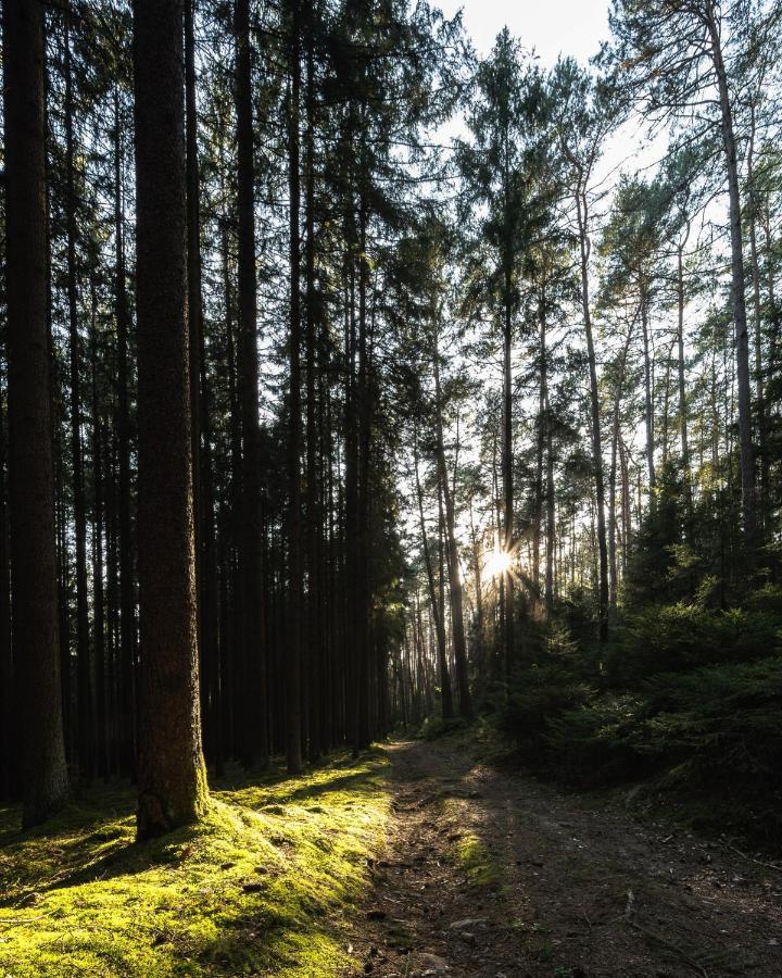 Ferienhaeuser Zur Schaeferei Mitwitz Exterior foto
